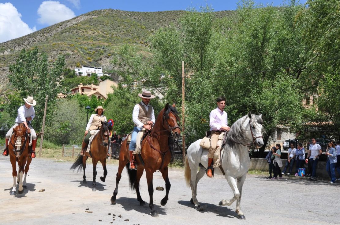 monachil-reune-a-cientos-de-vecinos-y-visitantes-en-una-multitudinaria-cuarta-edicion-del-dia-del-caballo