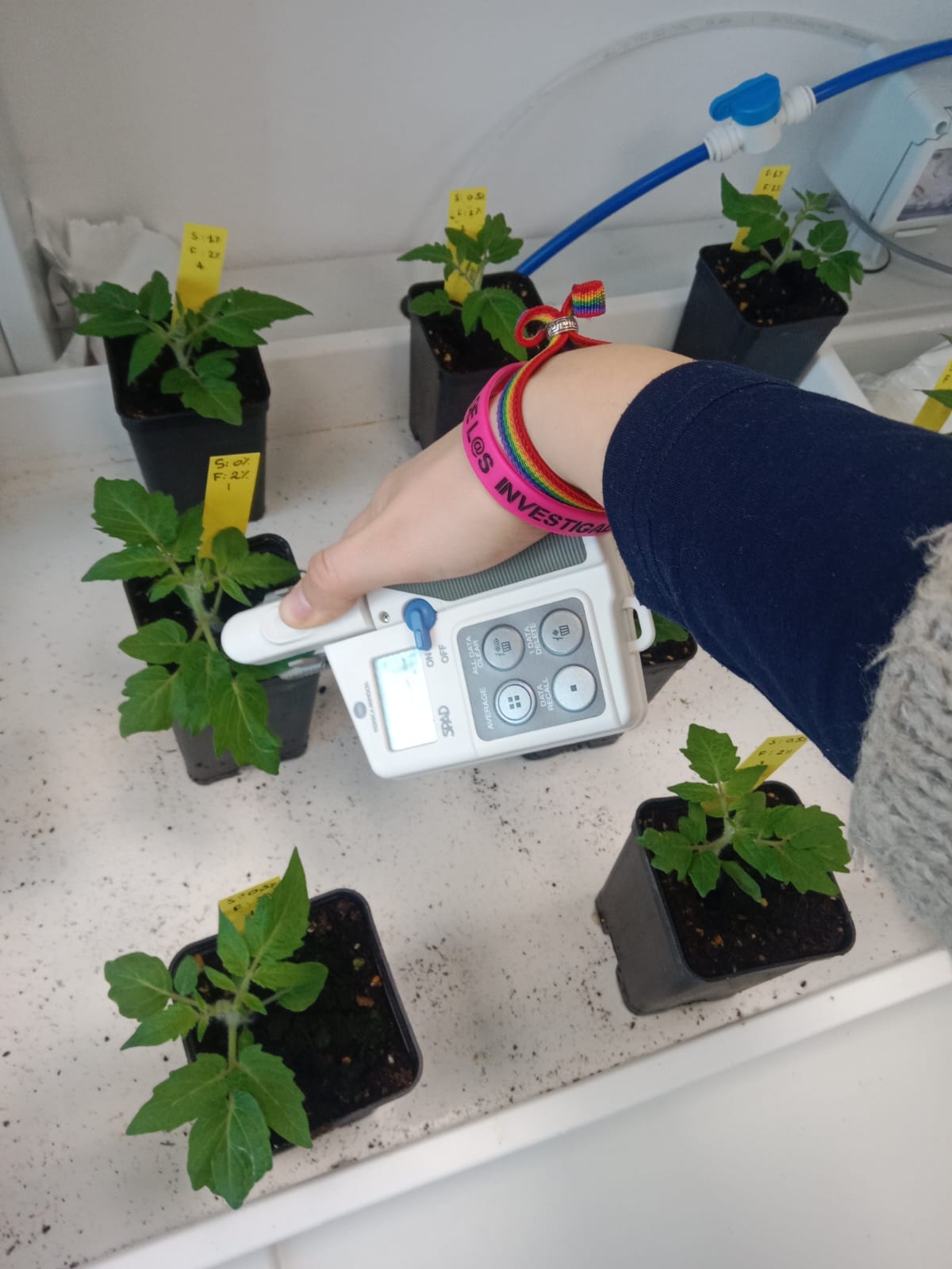 producen-abono-a-partir-de-bacterias-de-suelos-aridos-para-aumentar-la-produccion-agricola-en-sequia