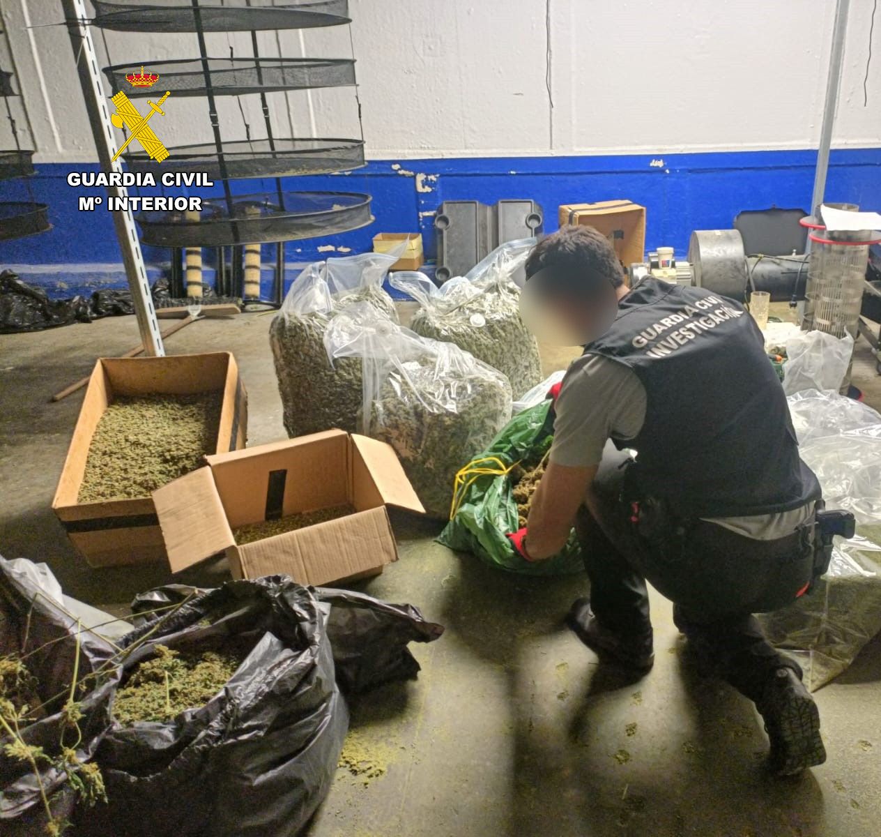 la-guardia-civil-desmantela-en-santa-fe-una-nave-con-mas-de-1-000-plantas-de-cannabis-31-kg-de-marihuana-y-136-kg-de-hachis-y-detiene-a-dos-hombres-en-prision-preventiva