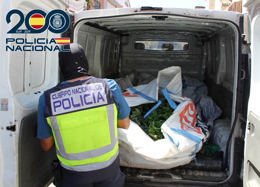 cinco-detenidos-en-granada-en-el-marco-del-plan-norte-por-tres-plantaciones-de-marihuana-con-mas-de-800-plantas-armas-intervenidas