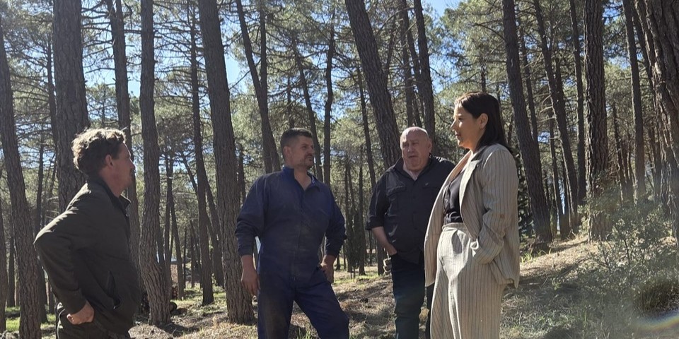 granada-fondos-europeos-permiten-a-la-zubia-actuar-contra-el-fuego-y-la-erosion-en-cumbres-verdes