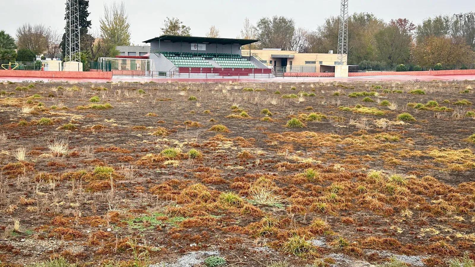 463-583-euros-para-rescatar-un-campo-en-ruinas-la-diputacion-de-granada-recupera-su-ciudad-deportiva-tras-anos-de-abandono