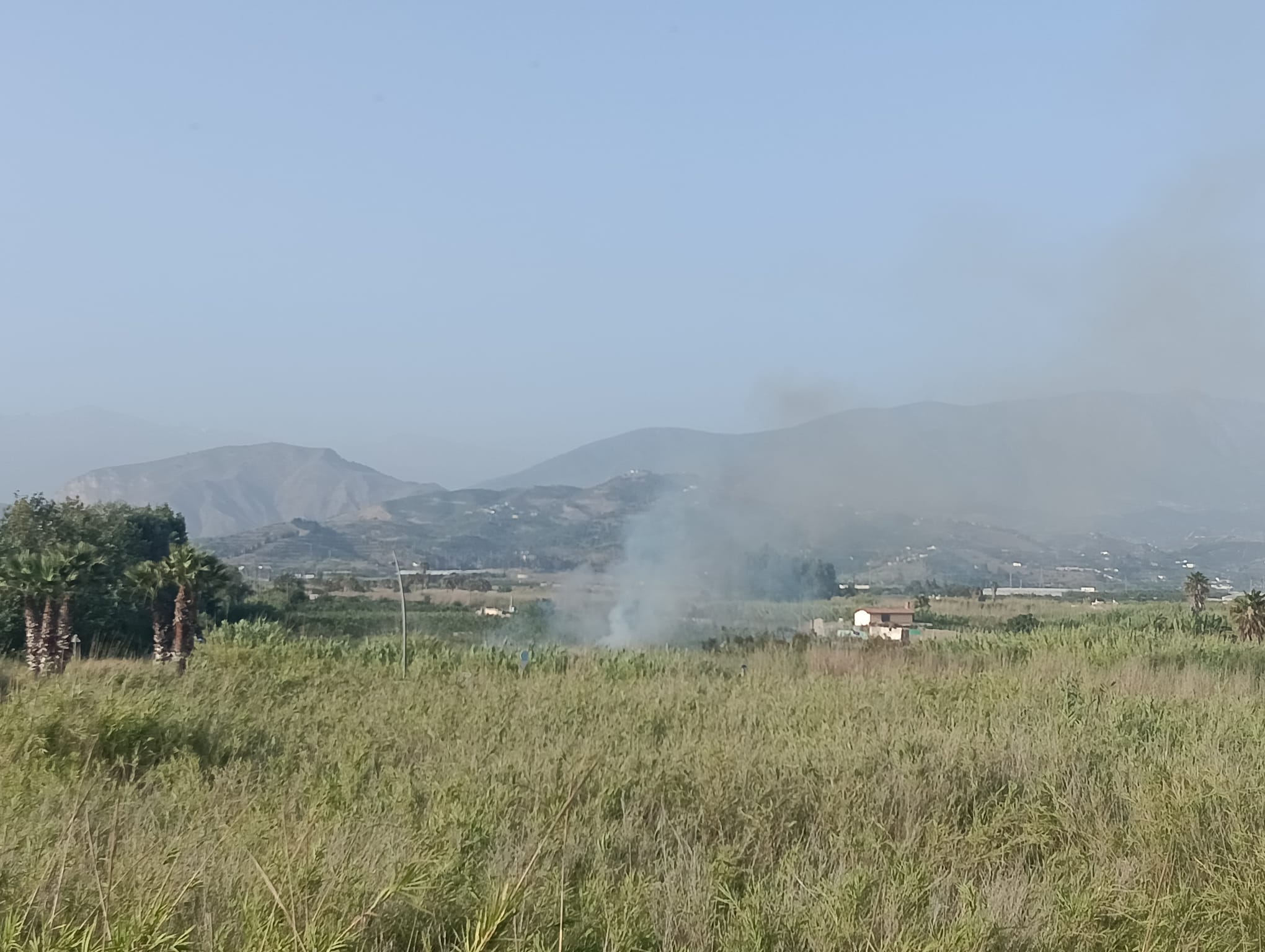 un-incendio-en-la-vega-de-salobrena-calcina-mas-de-un-centenar-de-metros-cuadrados-de-canaverales