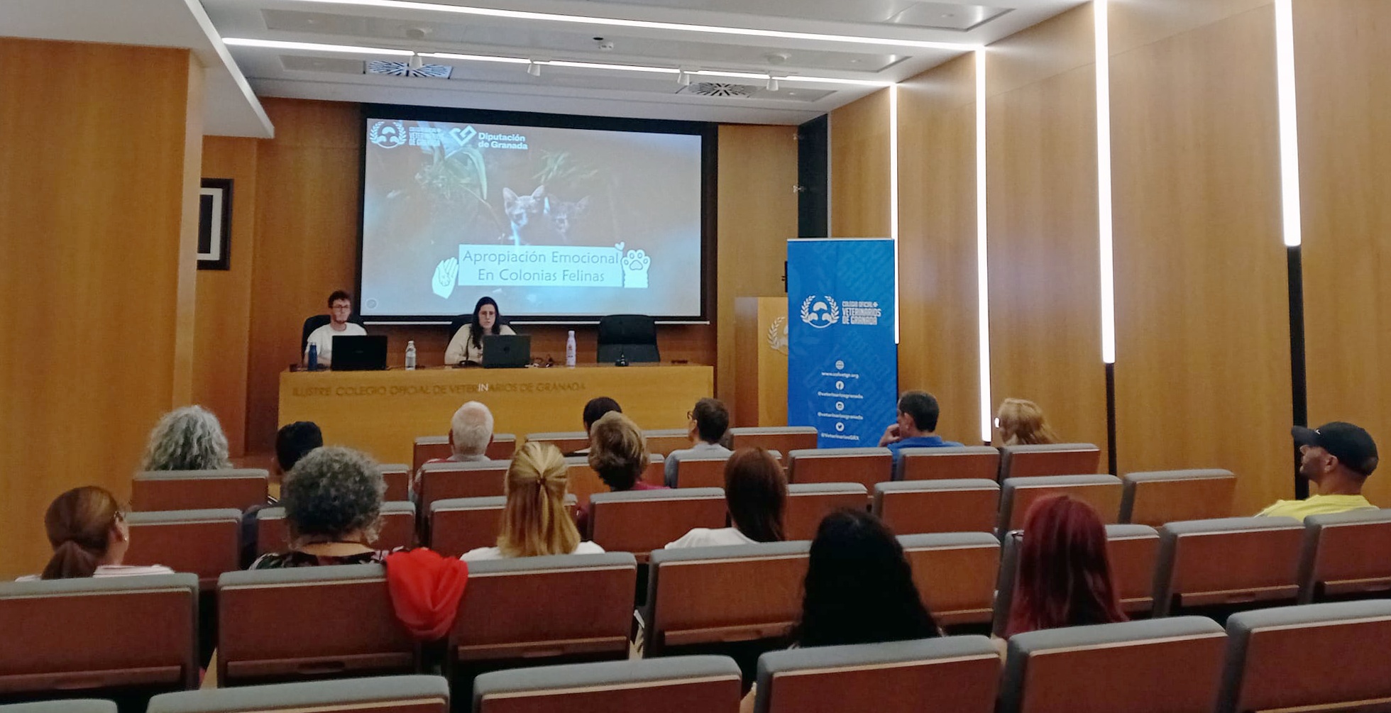 el-colegio-de-veterinarios-de-granada-forma-a-400-cuidadores-de-colonias-felinas-gracias-al-apoyo-economico-de-la-diputacion-de-granada