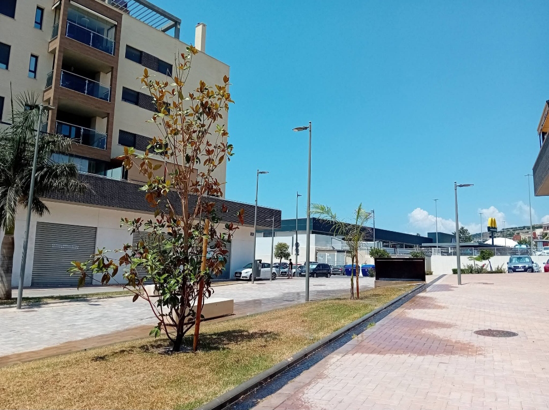 motril-parques-y-jardines-repone-50-arboles-en-distintos-barrios-para-mejorar-la-masa-arborea