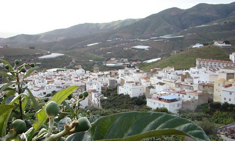 el-pp-de-itrabo-denuncia-una-grave-irregularidad-en-el-cobro-de-la-escuela-de-verano