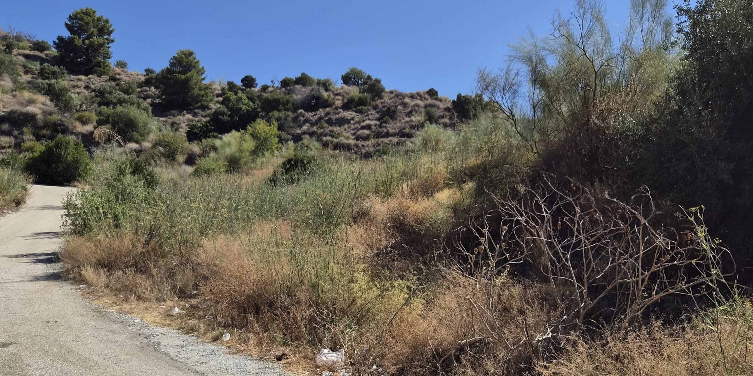 el-psoe-se-opone-a-una-fabrica-de-asfalto-en-la-herradura-por-su-impacto-ambiental-y-turistico