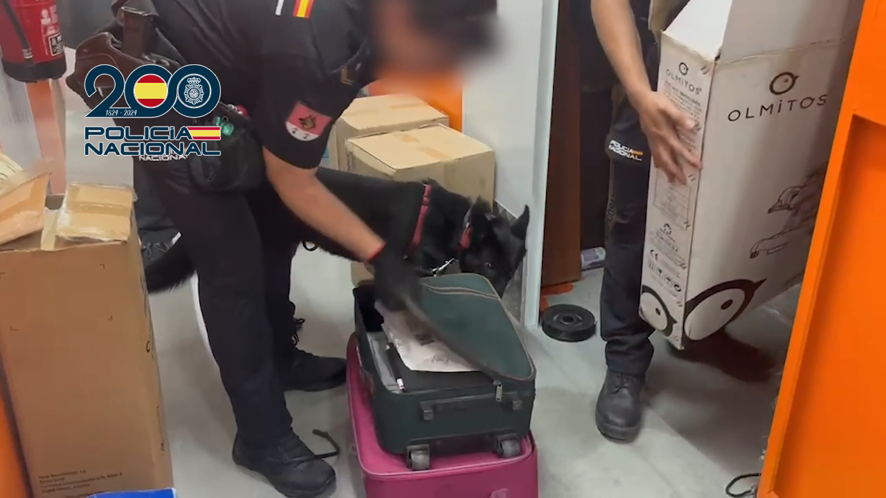 trece-detenidos-por-explotar-sexualmente-a-mujeres-y-utilizarlas-para-el-trafico-de-drogas