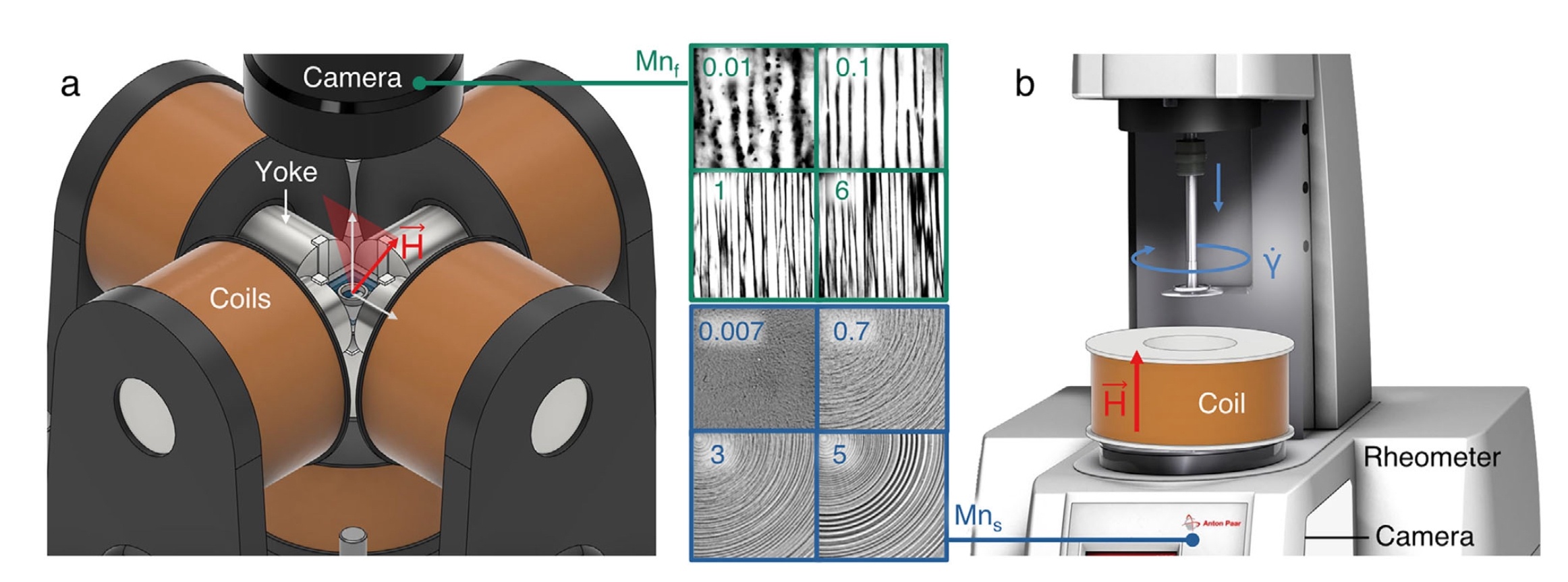 investigadores-de-la-ugr-desarrollan-hidrogeles-magneticos-que-ayudan-a-organizar-celulas-en-estructuras-similares-a-los-tejidos