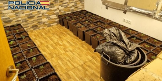 granada-una-pareja-detenida-por-convertir-su-vivienda-del-zaidin-en-un-cultivo-de-marihuana-con-su-hijo-de-tres-anos-en-el-inmueble