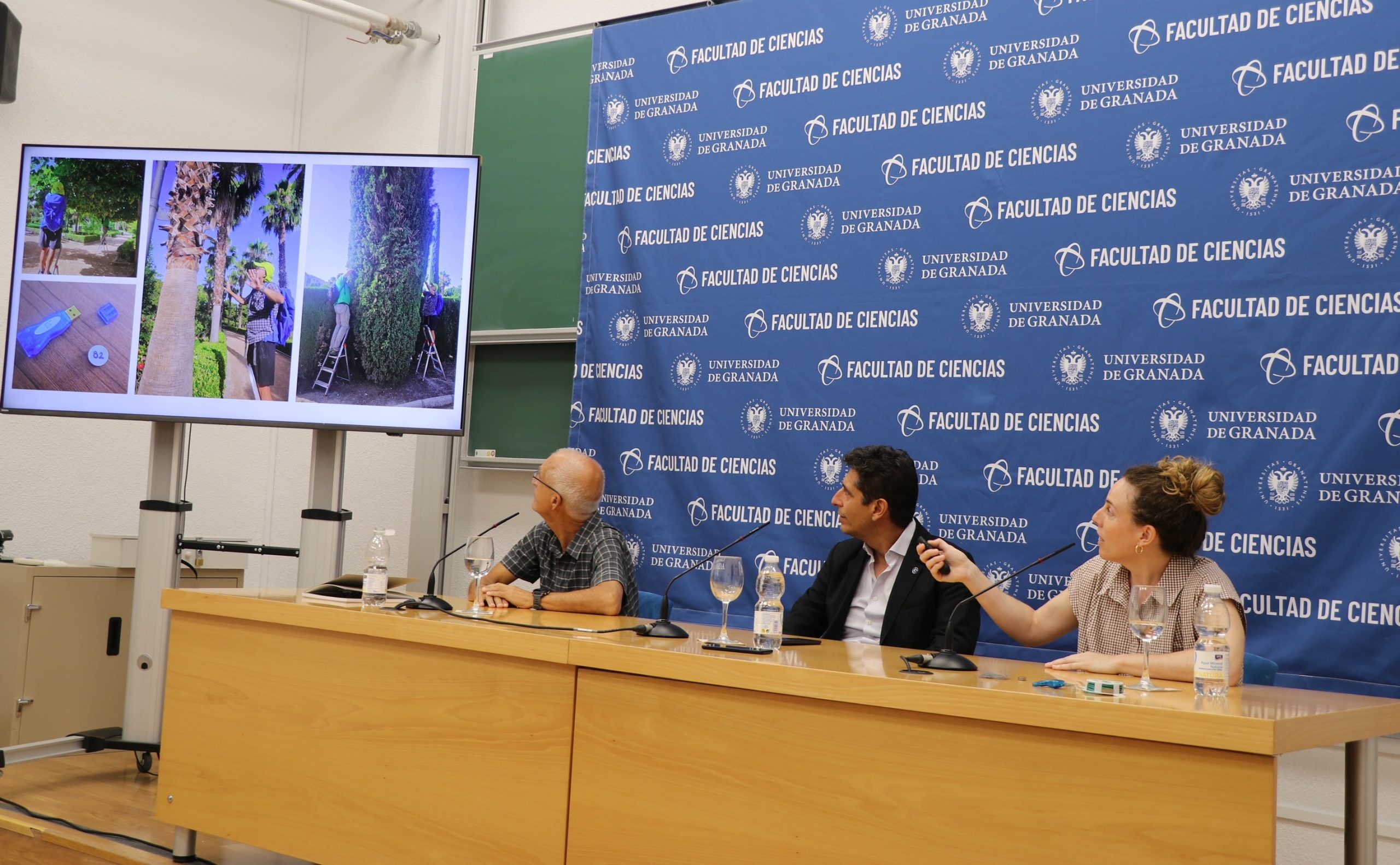 ugr-olivos-fresnos-platanos-de-sombra-nisperos-y-naranjos-pueden-bajar-hasta-35-c-la-temperatura-de-la-ciudad