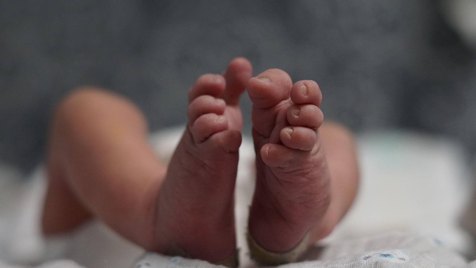 granada-un-estudio-de-la-ugr-abre-nuevas-vias-para-prevenir-alteraciones-cerebrales-en-bebes-prematuros
