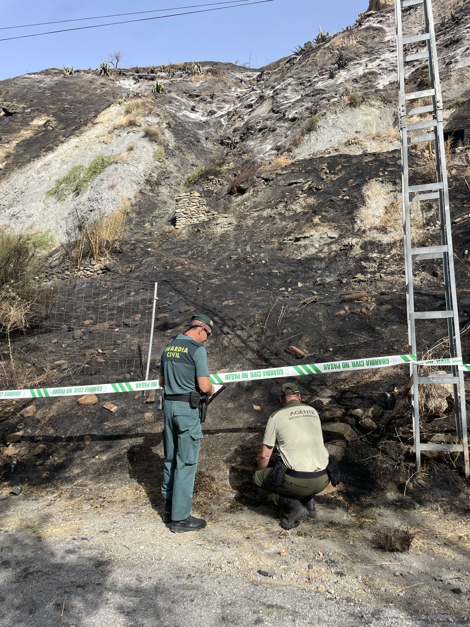 granada-un-detenido-por-el-incendio-forestal-que-obligo-a-desalojar-viviendas-en-cenes-de-la-vega