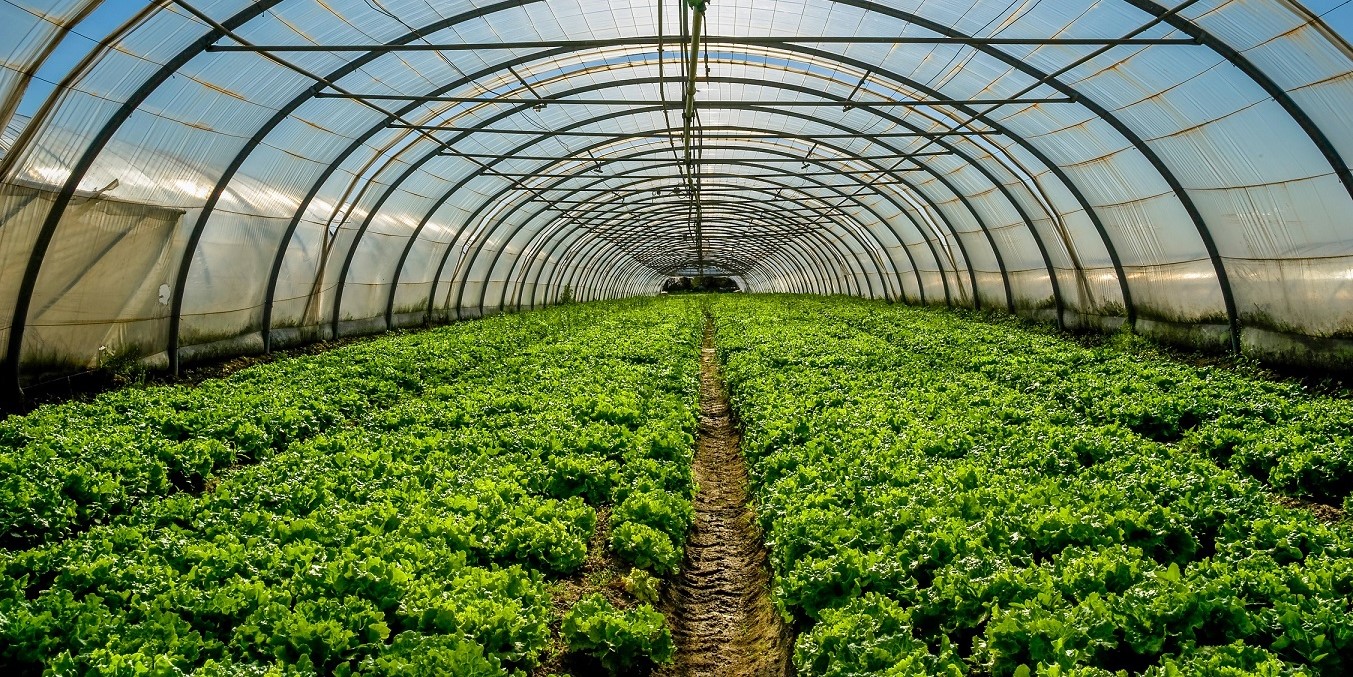 granada-miles-de-agricultores-se-juegan-perder-las-ayudas-a-los-fertilizantes-si-no-actuan-antes-del-27-de-julio
