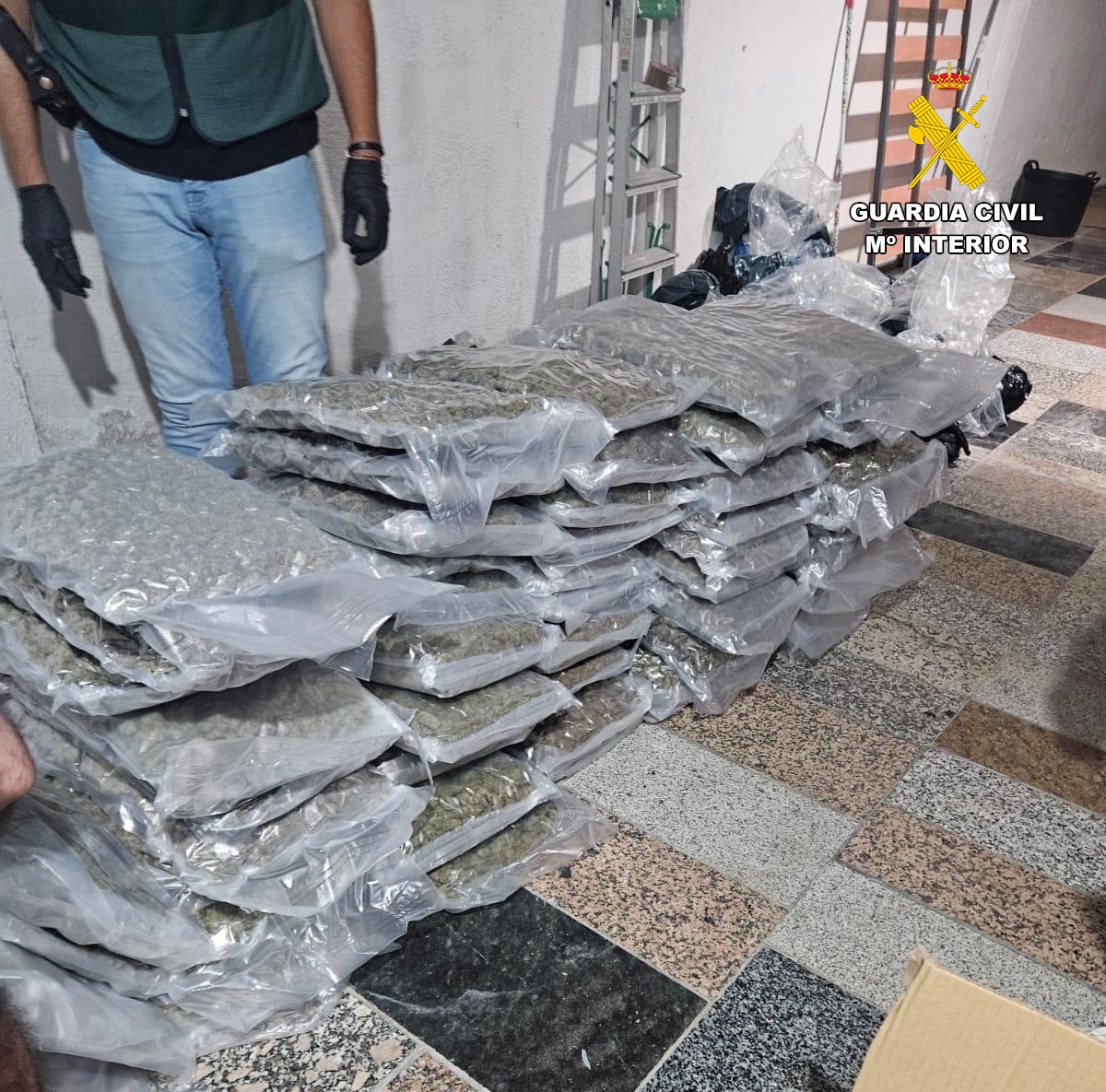 granada-37-detenidos-tras-una-macrooperacion-en-albolote-maracena-cullar-vega-santa-fe-y-calicasas
