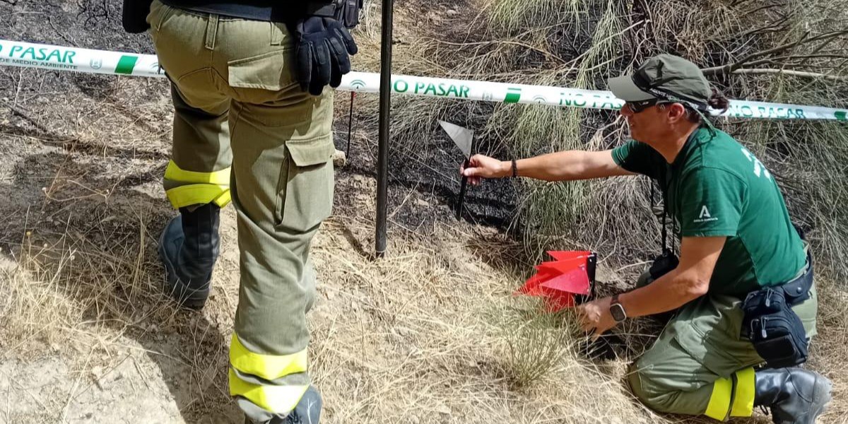 granada-investigan-a-dos-personas-por-el-incendio-de-beznar-que-arraso-150-hectareas-obligo-a-evacuar-a-80-vecinos-y-confino-el-pinar