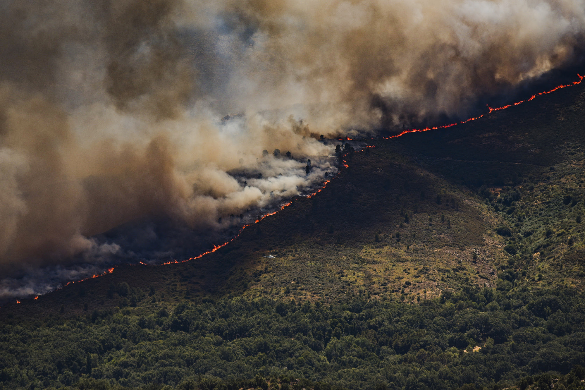 upa-llamamiento-politico-social-y-medioambiental-frente-al-drama-de-los-incendios-forestales