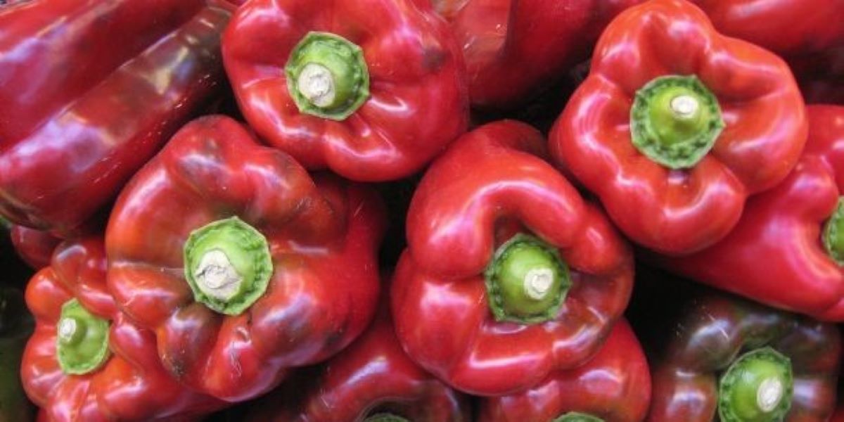 la-junta-activa-29-millones-en-ayudas-para-agricultores-afectados-por-la-plaga-del-pimiento-122-000-euros-para-granada