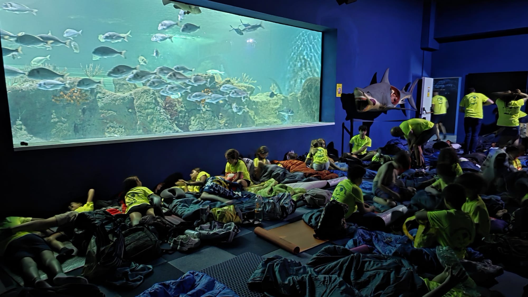 almunecar-medio-centenar-de-ninos-duerme-bajo-tiburones-en-el-acuario