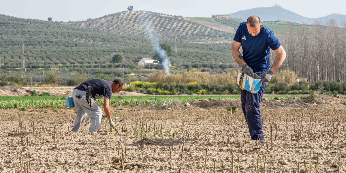 andalucia-supera-los-605-000-autonomos-en-el-primer-semestre-mientras-upta-reclama-una-fiscalidad-mas-equilibrada