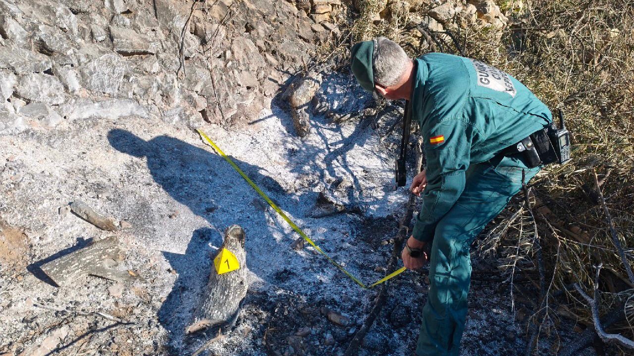 la-guardia-civil-detiene-a-dos-individuos-tras-provocar-un-incendio-forestal-que-afecto-a-la-turbera-de-padul