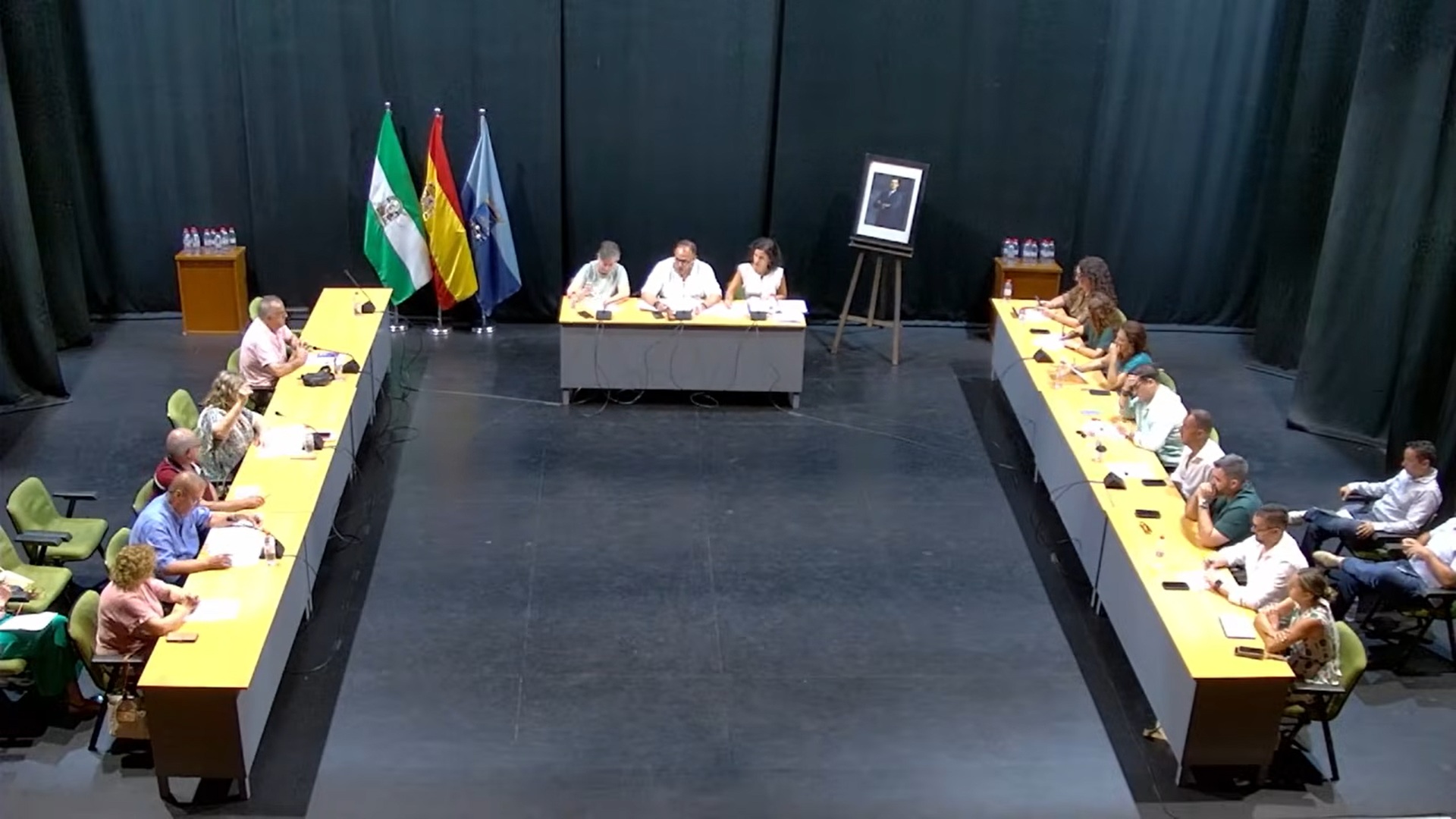 almunecar-convergencia-andaluza-reclama-medidas-urgentes-contra-el-riesgo-de-incendios-en-los-pinos-el-capricho