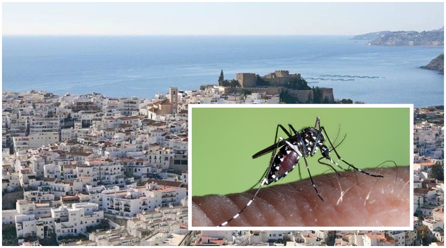 salobrena-la-junta-levanta-la-alerta-por-virus-del-nilo-en-la-villa-tras-no-detectarse-nuevos-mosquitos-infectados