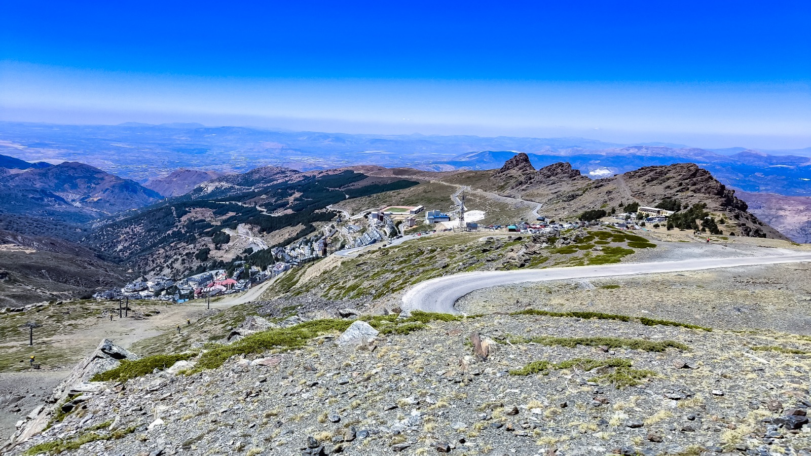 encuentran-en-sierra-nevada-a-un-mastin-de-26-kilos-al-borde-de-la-muerte-e-investigan-a-su-propietario-por-maltrato