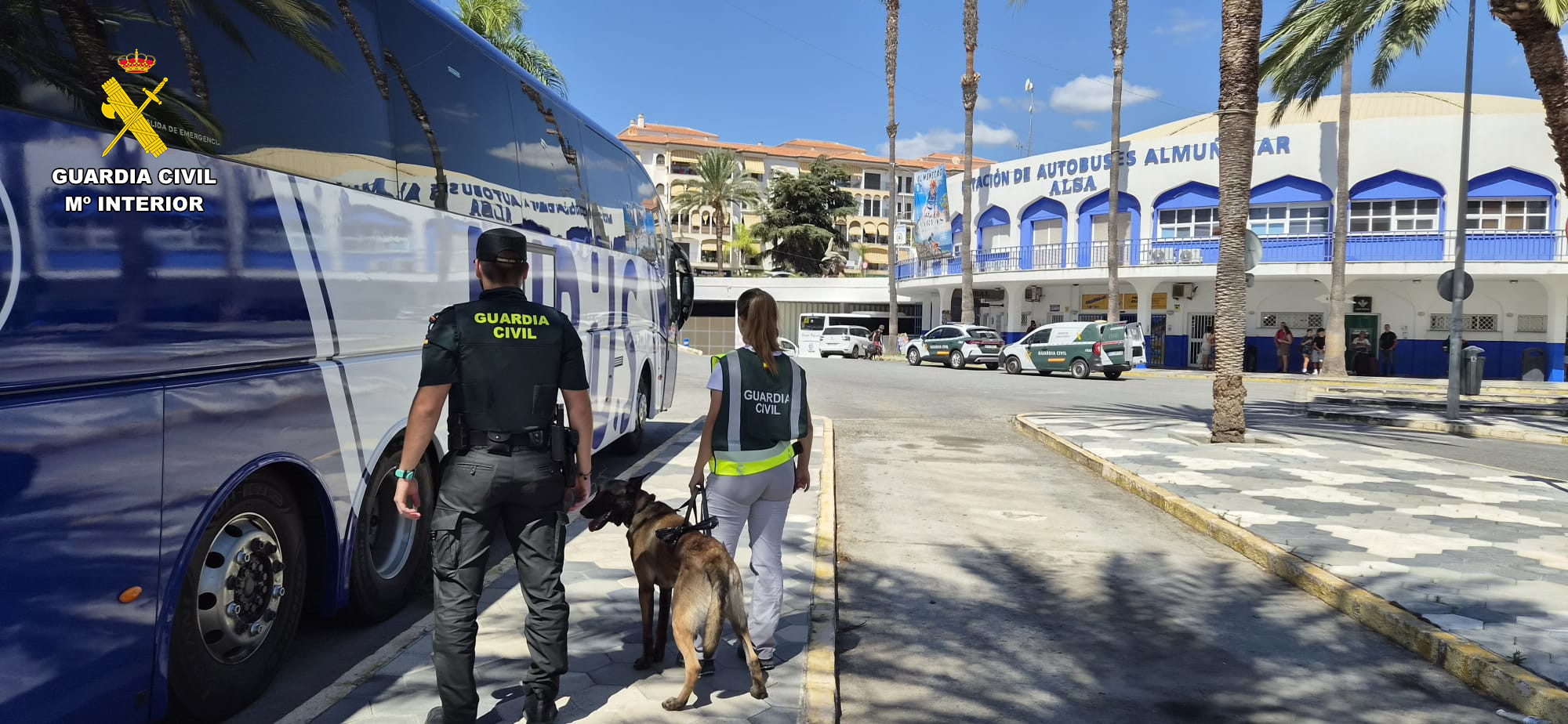 almunecar-boogui-el-perro-de-la-guardia-civil-que-olfateo-626-gramos-de-hachis-ocultos-entre-compresas-en-un-autobus