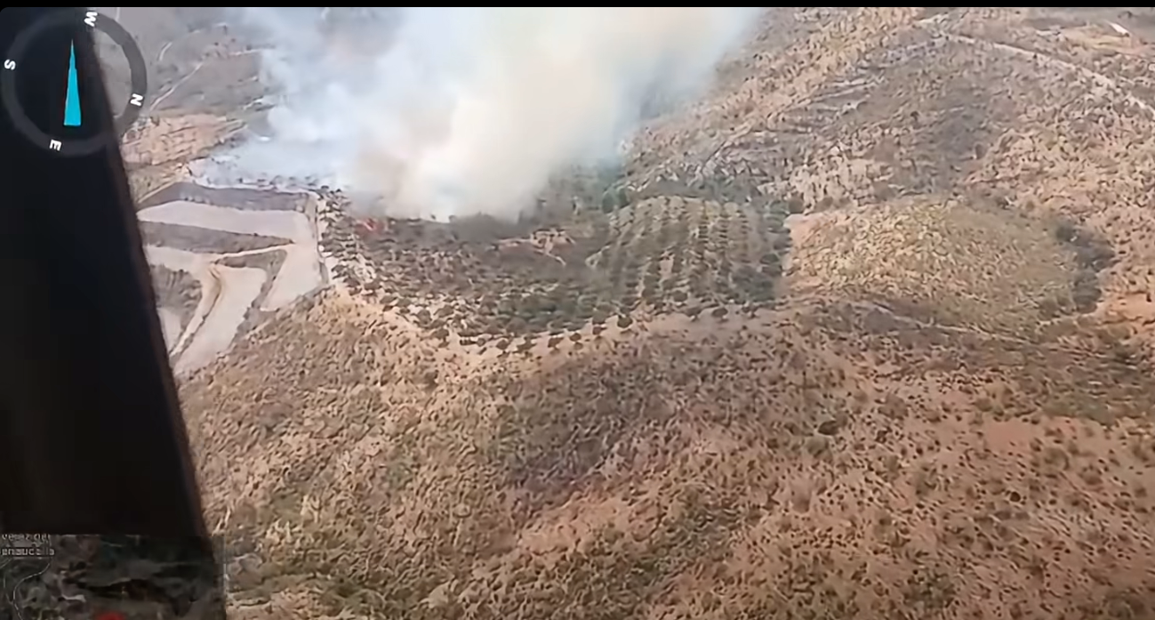 un-incendio-forestal-moviliza-medios-del-infoca-en-velez-de-benaudalla