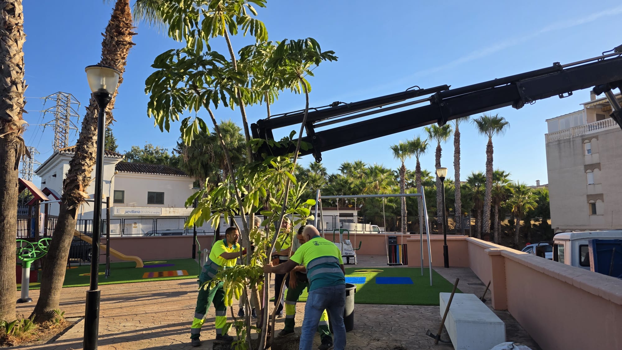 almunecar-combate-el-calor-con-mas-arboles-pergolas-y-una-inversion-de-40-000-euros-en-nuevos-espacios-de-sombra