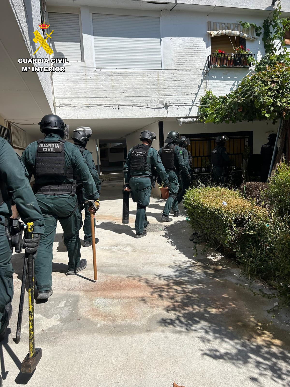 la-guardia-civil-interviene-5-507-plantas-de-marihuana-en-dos-operaciones-contra-el-cultivo-indoor-en-pinos-puente-y-fuente-vaqueros