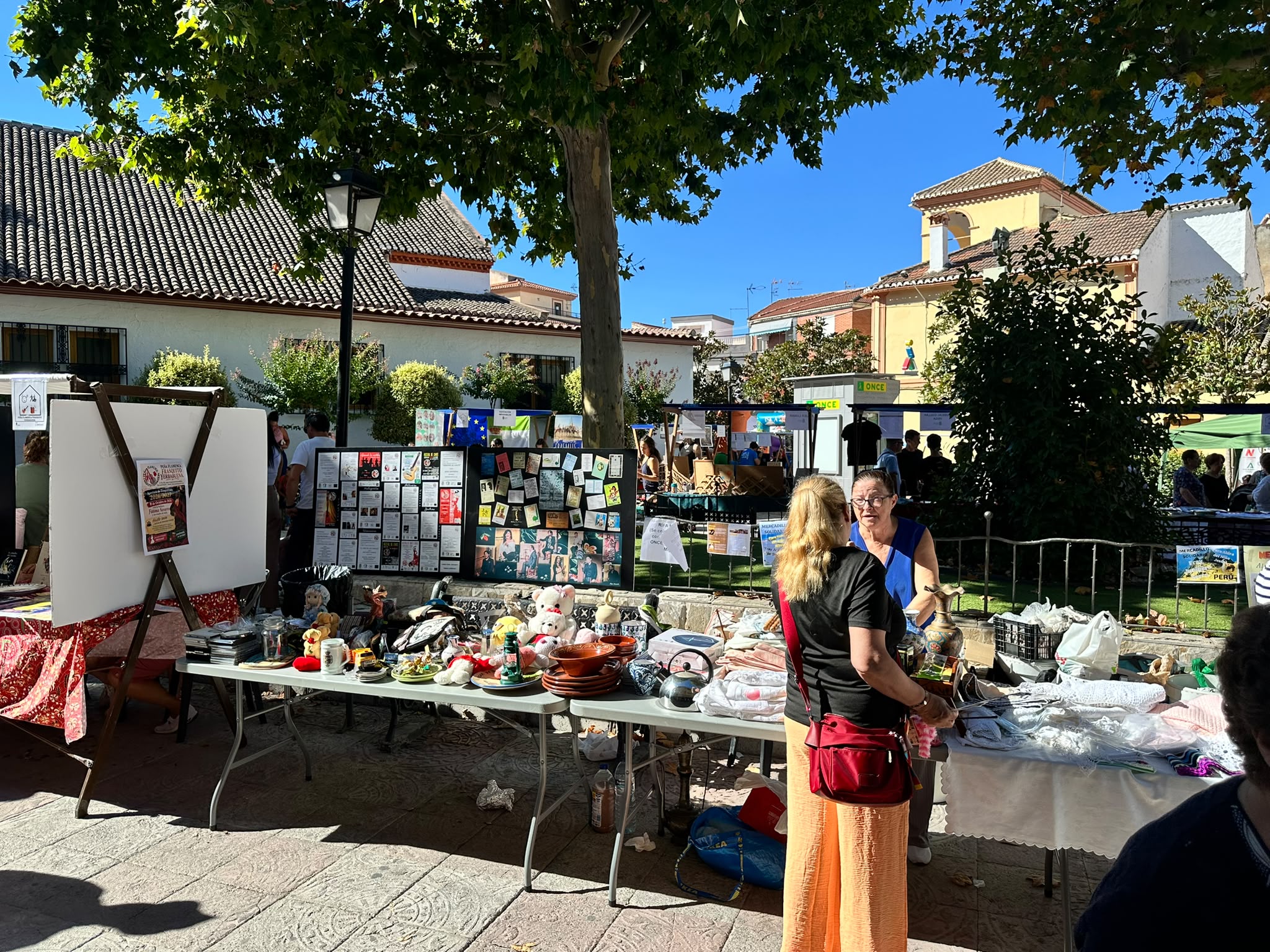 cullar-vega-celebra-su-viii-feria-de-asociaciones-para-poner-en-valor-el-trabajo-de-sus-colectivos-locales