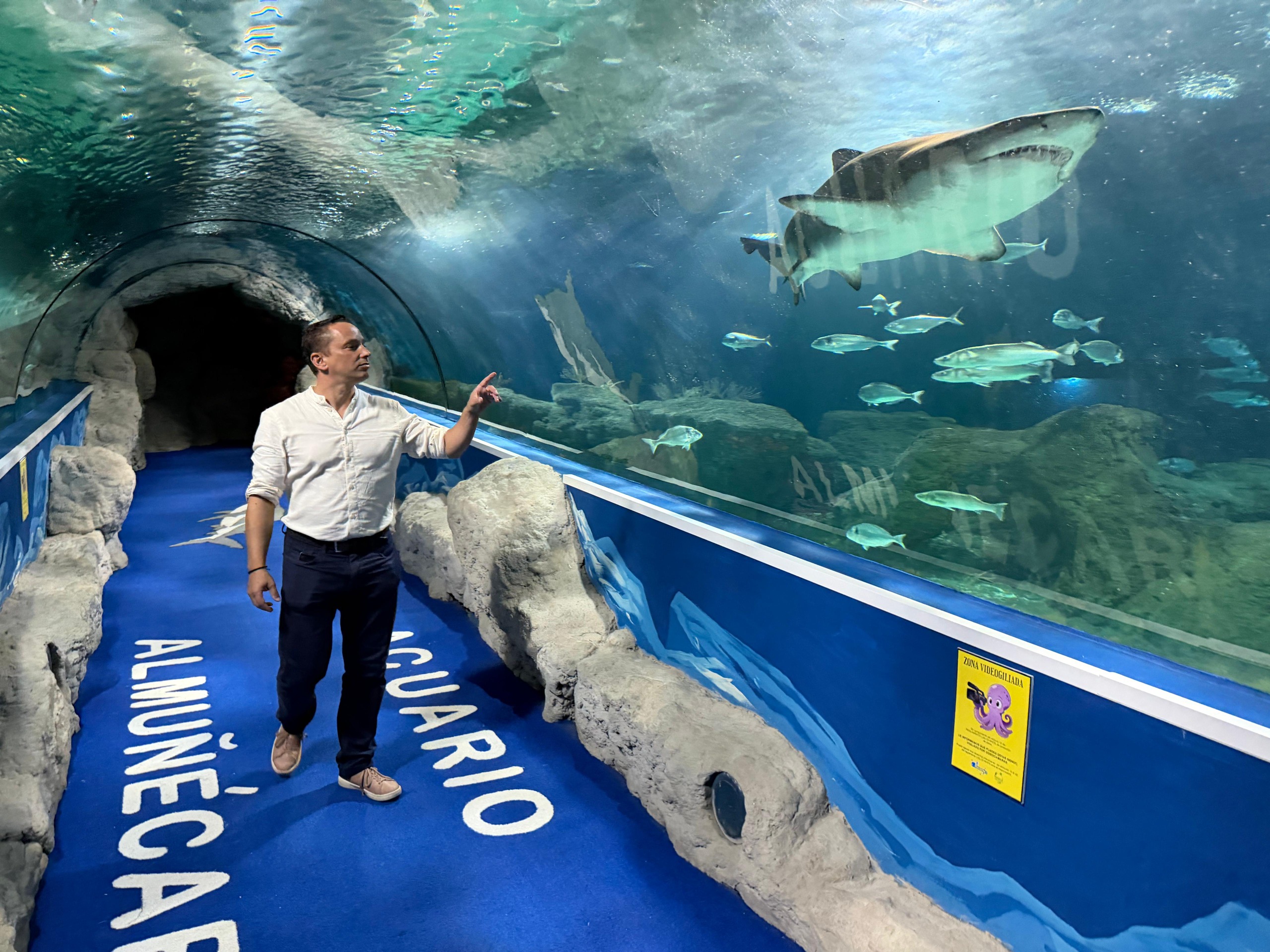 mas-de-32-000-personas-visitan-los-tiburones-y-otras-especies-del-acuario-de-almunecar-en-ocho-meses