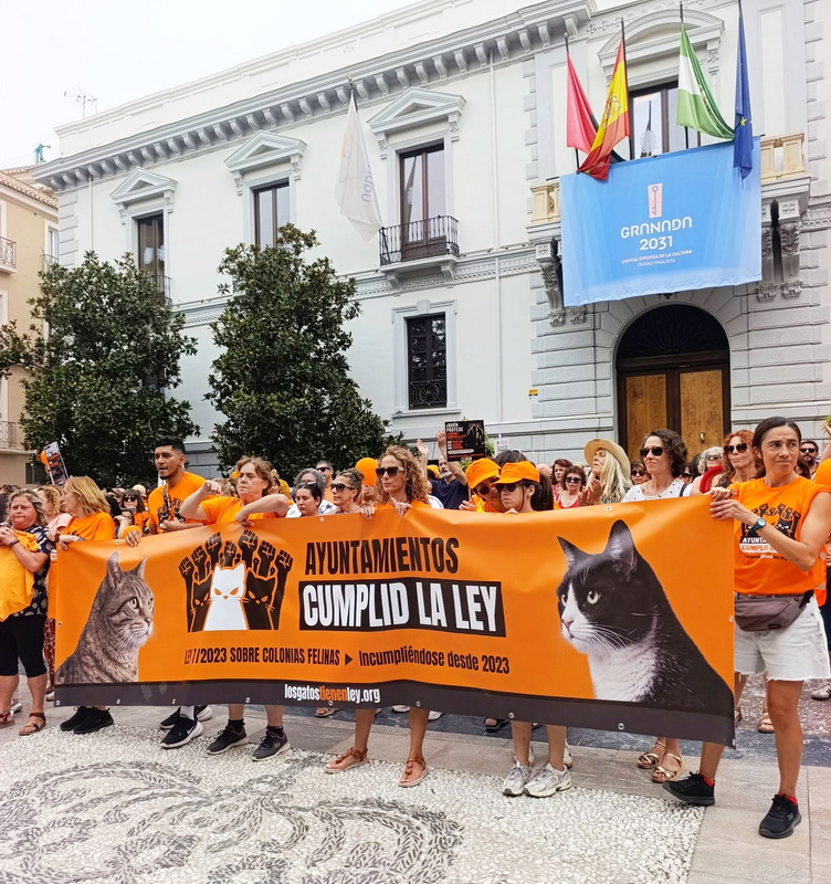 homeless-cat-salobrena-alza-la-voz-en-granada-ya-esta-bien-de-esperar-por-las-colonias-felinas