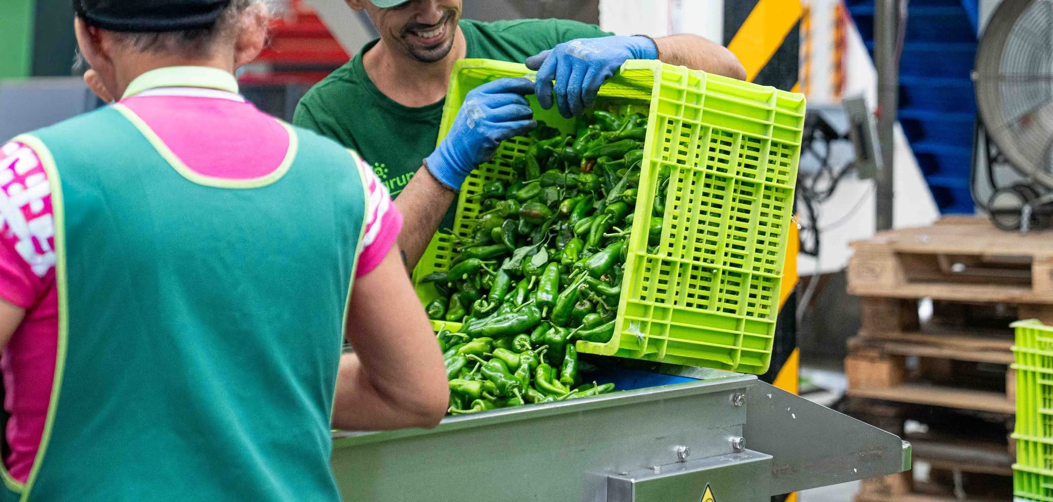motril-impulsa-la-movilizacion-del-sector-hortofruticola-de-granada-ante-la-huelga-convocada-para-el-11-y-12-de-noviembre