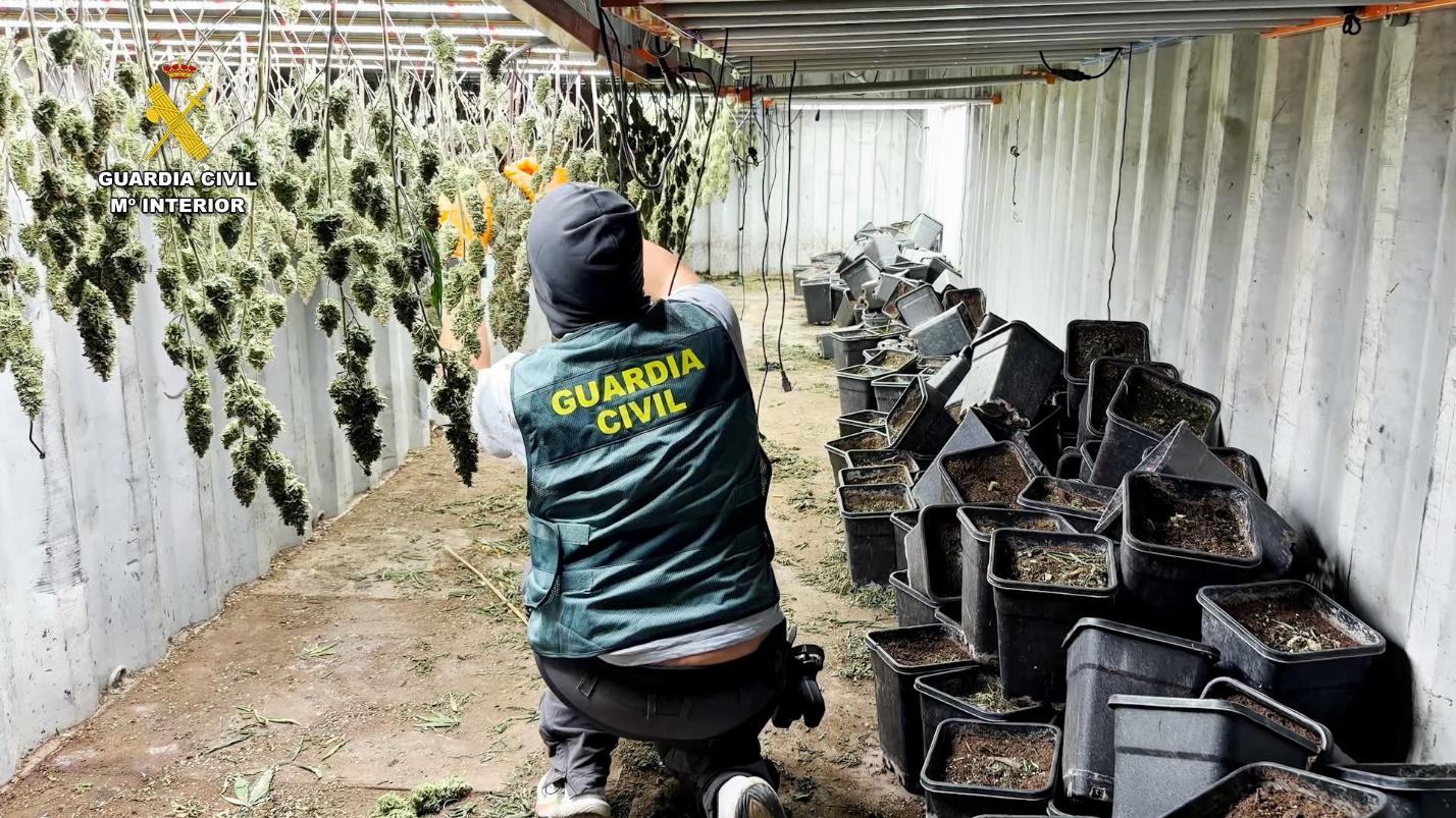 granada-desmantelan-un-laboratorio-de-cannabis-con-butano-tras-14-registros-en-pueblos-de-la-provincia