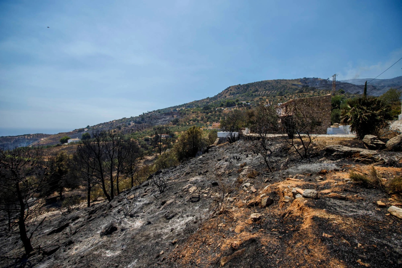almunecar-pone-fecha-al-desbloqueo-de-las-ayudas-para-los-agricultores-afectados-por-el-incendio