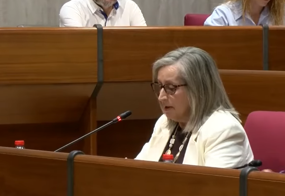 motril-dalmira-jimenez-deja-su-acta-de-concejal-del-psoe-y-reprocha-a-la-nueva-ejecutiva-local-la-falta-de-respeto-hacia-sus-companeros
