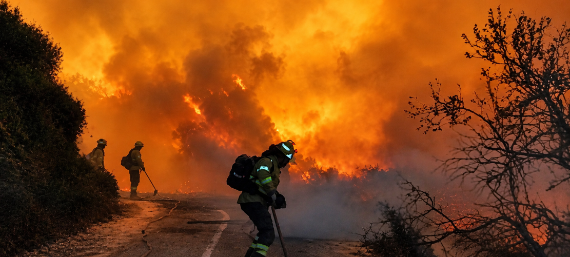 almunecar-propone-conceder-ayudas-a-17-agricultores-afectados-por-el-incendio-de-pena-escrita-con-cargo-a-los-100-000-euros-municipales