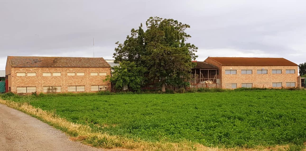 granada-cullar-vega-impulsa-la-conservacion-de-sus-secaderos-de-tabaco-como-simbolo-de-su-historia-y-patrimonio-rural