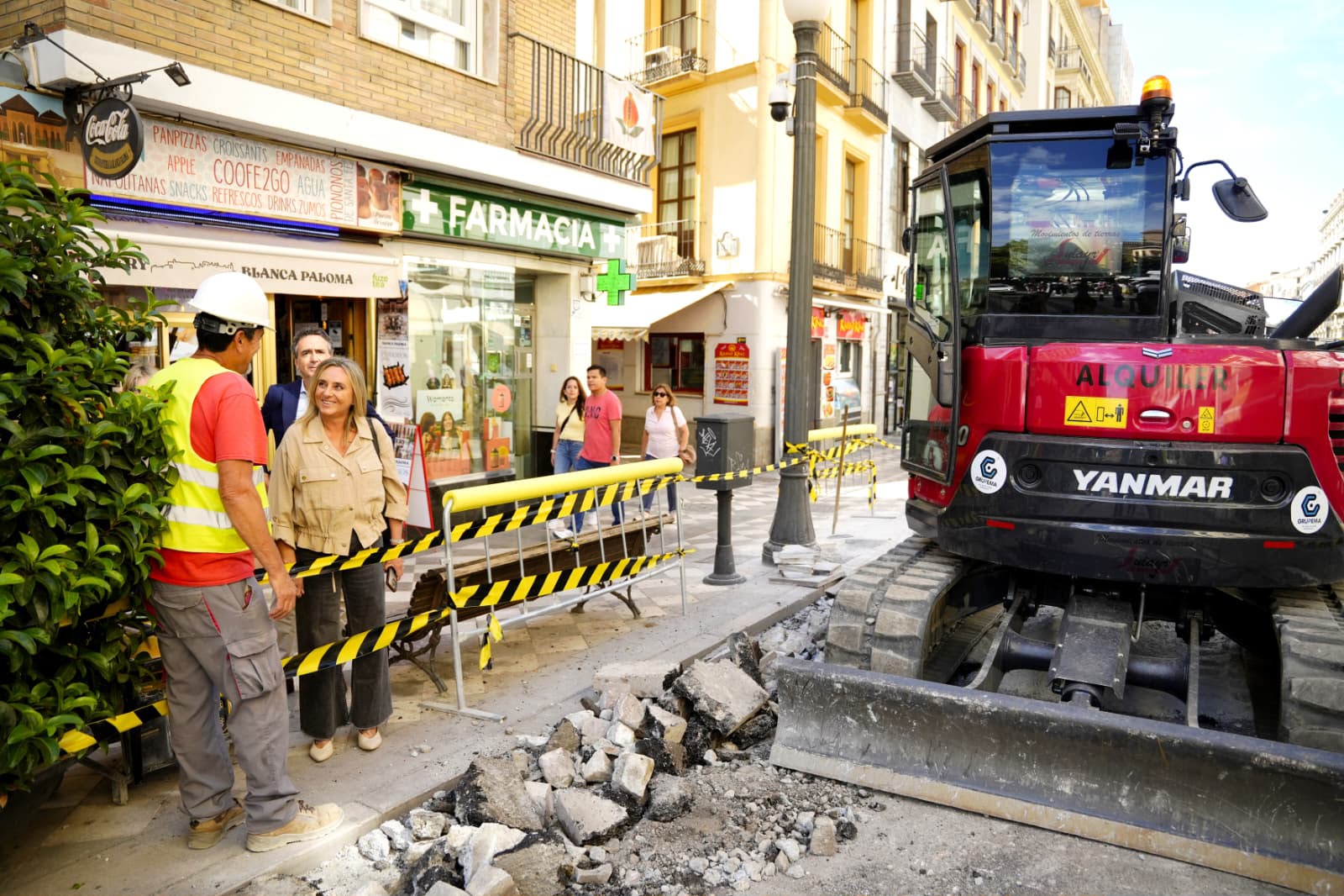 granada-inicia-la-renovacion-de-reyes-catolicos-con-1-120-plantas-y-224-nuevos-maceteros