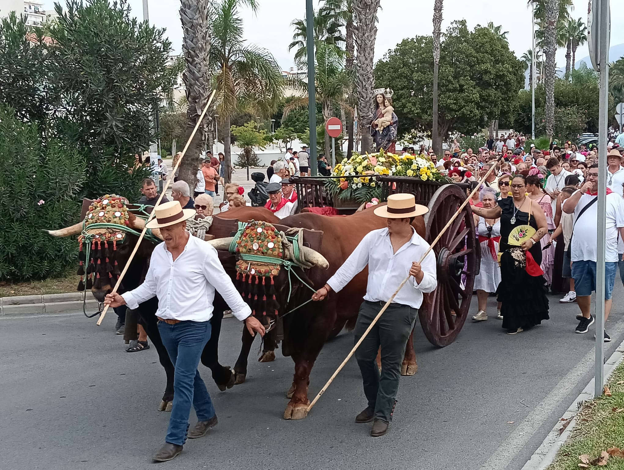 salobrena-la-virgen-del-rosario-y-cientos-de-romeros-llenan-de-color-y-tradicion-la-villa