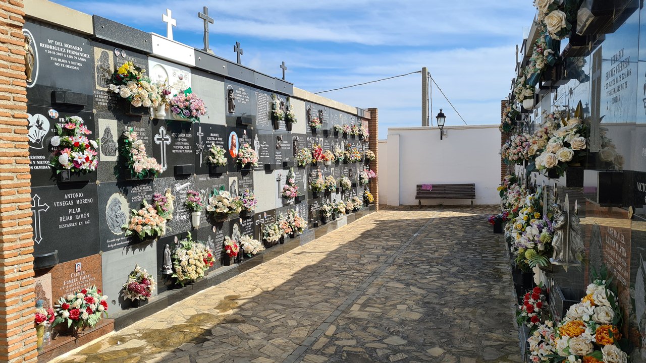 salobrena-prohibe-el-agua-en-los-jarrones-del-cementerio-para-prevenir-el-virus-del-nilo-por-todos-los-santos
